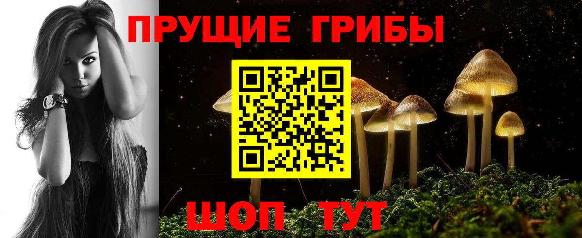 Галлюциногенные грибы Psilocybine cubensis Лениногорск