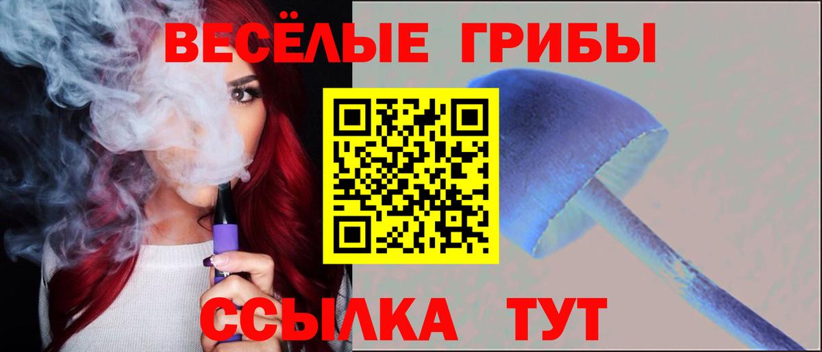 Лениногорск  Псилоцибиновые грибы Psilocybe  Галлюциногенные грибы прущие грибы  Вход с VPN 